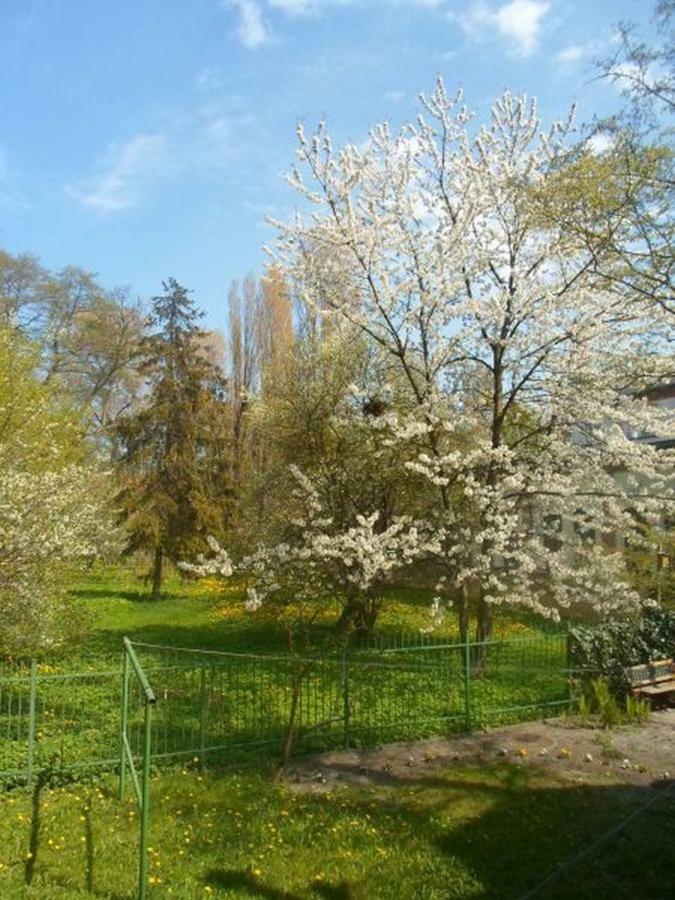 סופוט Apartament 100M Od Morza מראה חיצוני תמונה